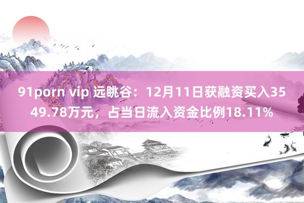 91porn vip 远眺谷：12月11日获融资买入3549.78万元，占当日流入资金比例18.11%