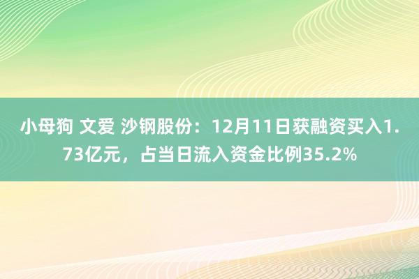 小母狗 文爱 沙钢股份：12月11日获融资买入1.73亿元，占当日流入资金比例35.2%