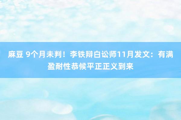 麻豆 9个月未判！李铁辩白讼师11月发文：有满盈耐性恭候平正正义到来