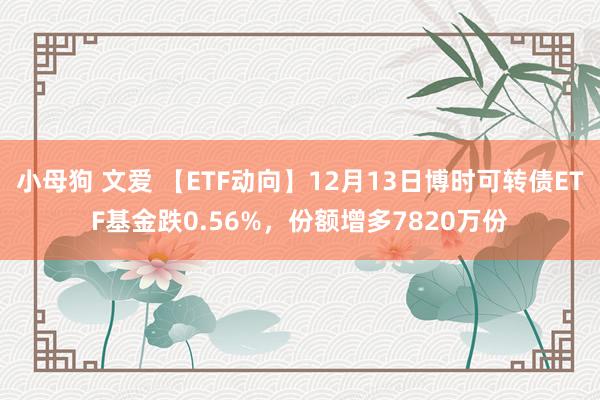 小母狗 文爱 【ETF动向】12月13日博时可转债ETF基金跌0.56%，份额增多7820万份