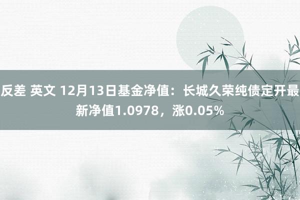 反差 英文 12月13日基金净值：长城久荣纯债定开最新净值1.0978，涨0.05%