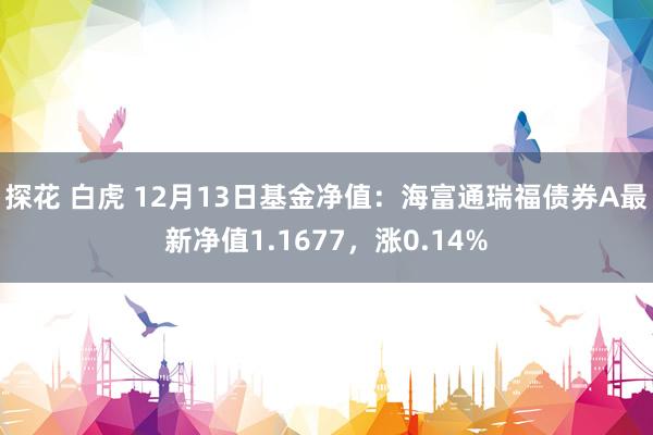 探花 白虎 12月13日基金净值：海富通瑞福债券A最新净值1.1677，涨0.14%