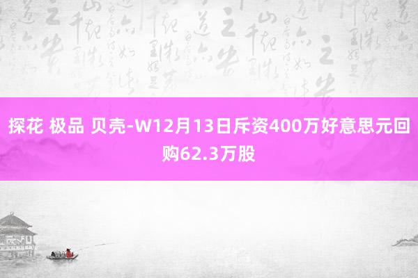 探花 极品 贝壳-W12月13日斥资400万好意思元回购62.3万股