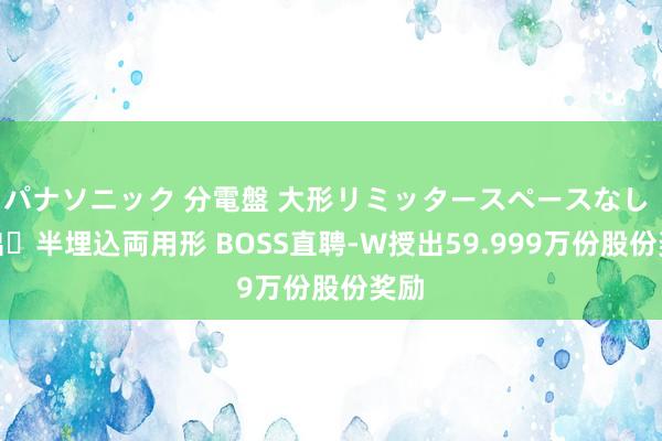 パナソニック 分電盤 大形リミッタースペースなし 露出・半埋込両用形 BOSS直聘-W授出59.999万份股份奖励