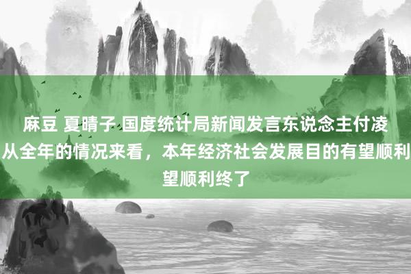 麻豆 夏晴子 国度统计局新闻发言东说念主付凌晖：从全年的情况来看，本年经济社会发展目的有望顺利终了