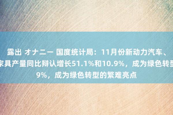 露出 オナニー 国度统计局：11月份新动力汽车、太阳能电板家具产量同比辩认增长51.1%和10.9%，成为绿色转型的繁难亮点