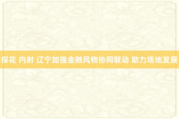 探花 内射 辽宁加强金融风物协同联动 助力场地发展