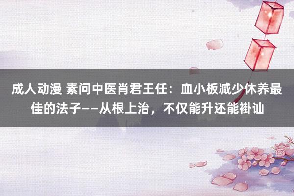 成人动漫 素问中医肖君王任：血小板减少休养最佳的法子——从根上治，不仅能升还能褂讪