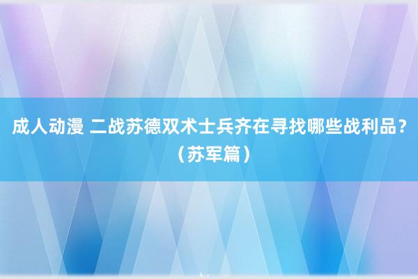 成人动漫 二战苏德双术士兵齐在寻找哪些战利品？（苏军篇）