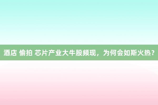 酒店 偷拍 芯片产业大牛股频现，为何会如斯火热？