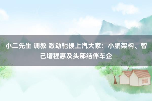 小二先生 调教 激动驰援上汽大家：小鹏架构、智己增程惠及头部结伴车企