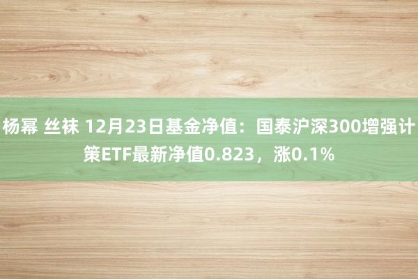 杨幂 丝袜 12月23日基金净值：国泰沪深300增强计策ETF最新净值0.823，涨0.1%