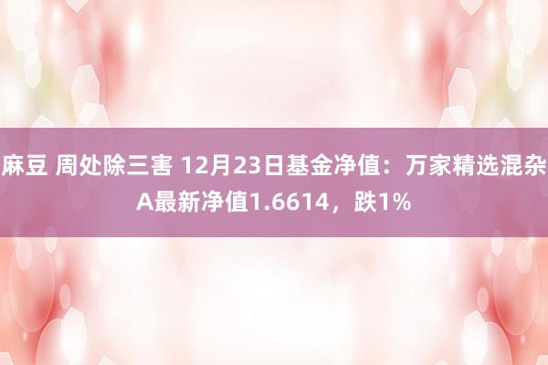 麻豆 周处除三害 12月23日基金净值：万家精选混杂A最新净值1.6614，跌1%