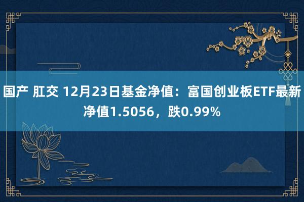 国产 肛交 12月23日基金净值：富国创业板ETF最新净值1.5056，跌0.99%