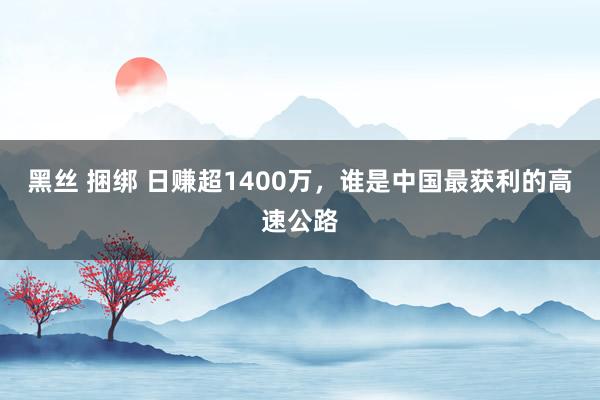 黑丝 捆绑 日赚超1400万，谁是中国最获利的高速公路