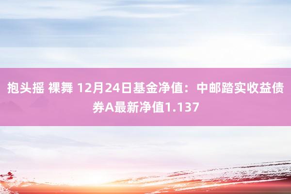 抱头摇 裸舞 12月24日基金净值：中邮踏实收益债券A最新净值1.137