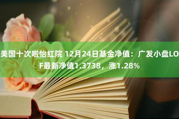 美国十次啦怡红院 12月24日基金净值：广发小盘LOF最新净值1.3738，涨1.28%