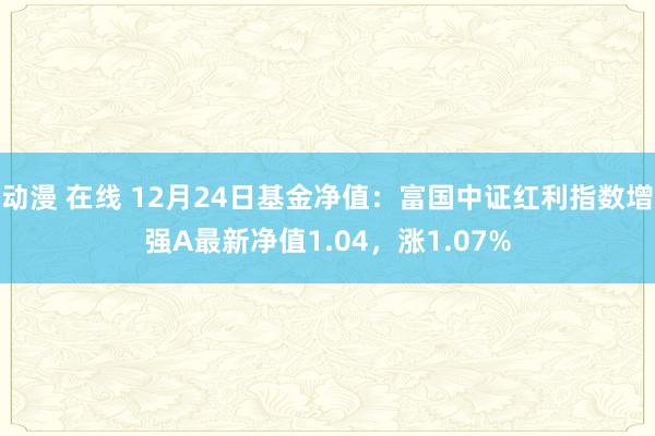 动漫 在线 12月24日基金净值：富国中证红利指数增强A最新净值1.04，涨1.07%