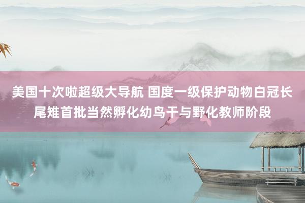 美国十次啦超级大导航 国度一级保护动物白冠长尾雉首批当然孵化幼鸟干与野化教师阶段