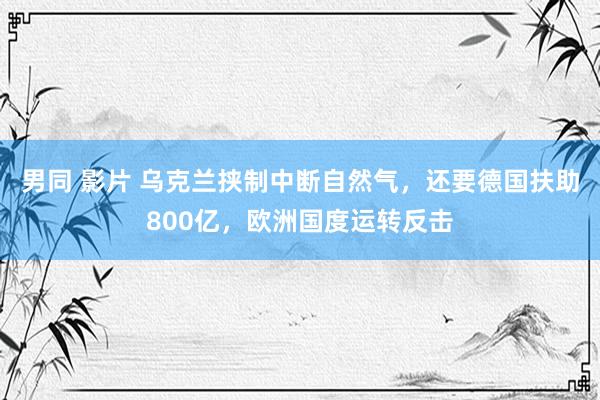 男同 影片 乌克兰挟制中断自然气，还要德国扶助800亿，欧洲国度运转反击