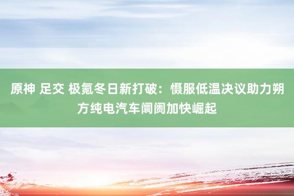 原神 足交 极氪冬日新打破：慑服低温决议助力朔方纯电汽车阛阓加快崛起