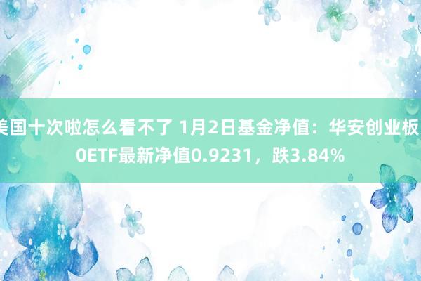 美国十次啦怎么看不了 1月2日基金净值：华安创业板50ETF最新净值0.9231，跌3.84%