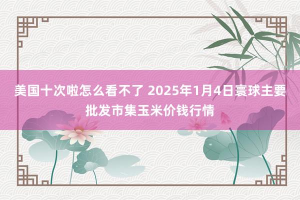 美国十次啦怎么看不了 2025年1月4日寰球主要批发市集玉米价钱行情