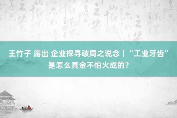 王竹子 露出 企业探寻破局之说念丨“工业牙齿”是怎么真金不怕火成的？