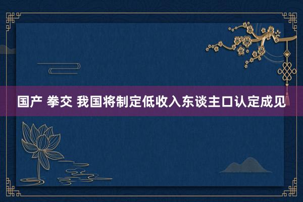 国产 拳交 我国将制定低收入东谈主口认定成见