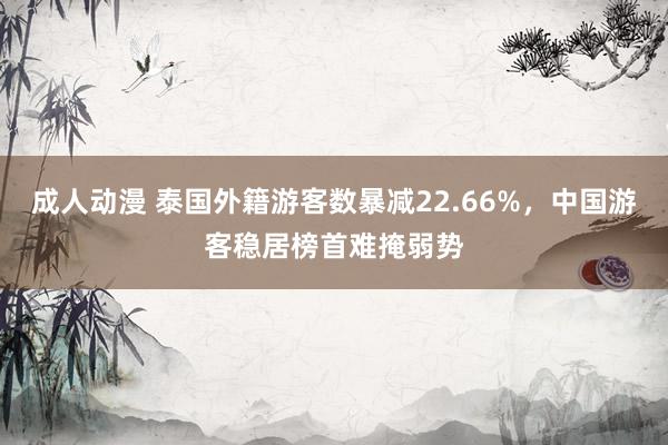 成人动漫 泰国外籍游客数暴减22.66%，中国游客稳居榜首难掩弱势