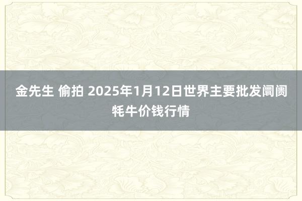 金先生 偷拍 2025年1月12日世界主要批发阛阓牦牛价钱行情