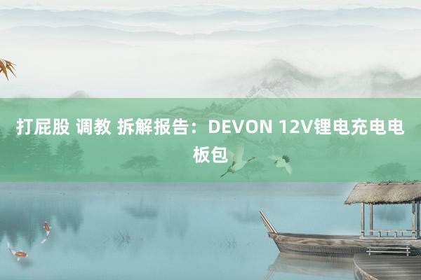 打屁股 调教 拆解报告：DEVON 12V锂电充电电板包