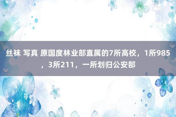 丝袜 写真 原国度林业部直属的7所高校，1所985，3所211，一所划归公安部