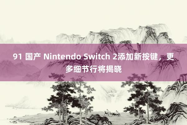 91 国产 Nintendo Switch 2添加新按键，更多细节行将揭晓