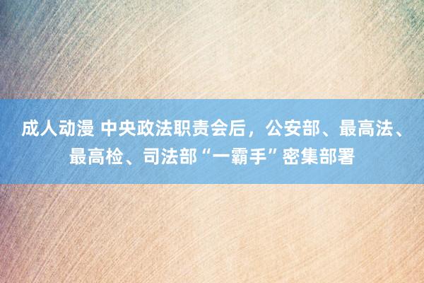 成人动漫 中央政法职责会后，公安部、最高法、最高检、司法部“一霸手”密集部署