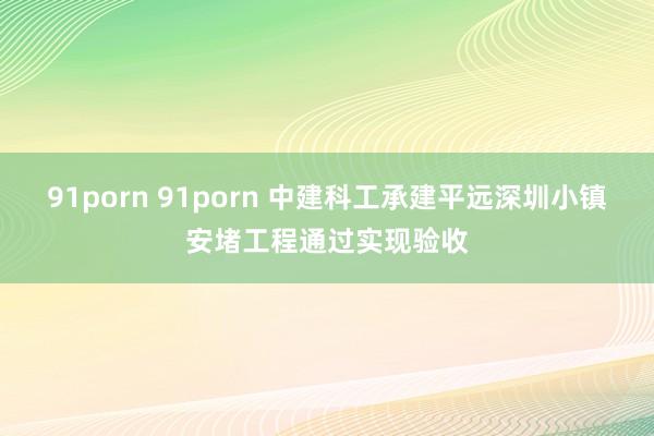 91porn 91porn 中建科工承建平远深圳小镇安堵工程通过实现验收