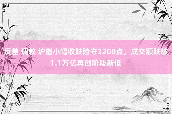 反差 调教 沪指小幅收跌险守3200点，成交额跌破1.1万亿再创阶段新低