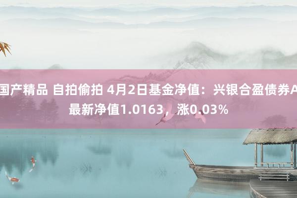 国产精品 自拍偷拍 4月2日基金净值：兴银合盈债券A最新净值1.0163，涨0.03%