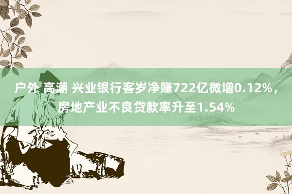 户外 高潮 兴业银行客岁净赚722亿微增0.12%,房地产业不良贷款率升至1.54%