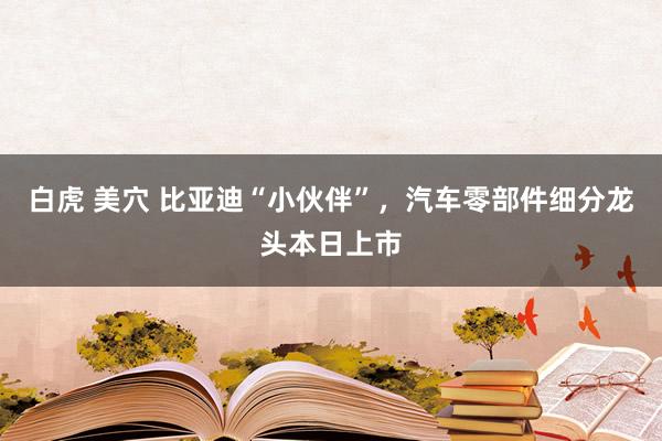 白虎 美穴 比亚迪“小伙伴”,汽车零部件细分龙头本日上市